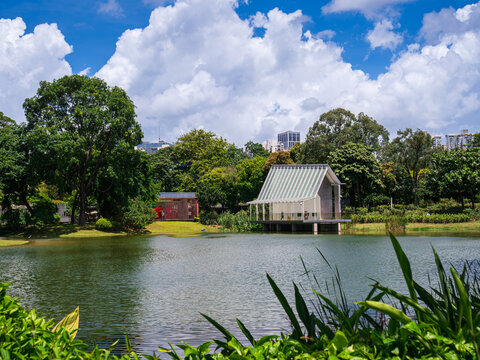 Xiangmi Lake Park-shenzhen Xiangmi Lake Park-shenzhen